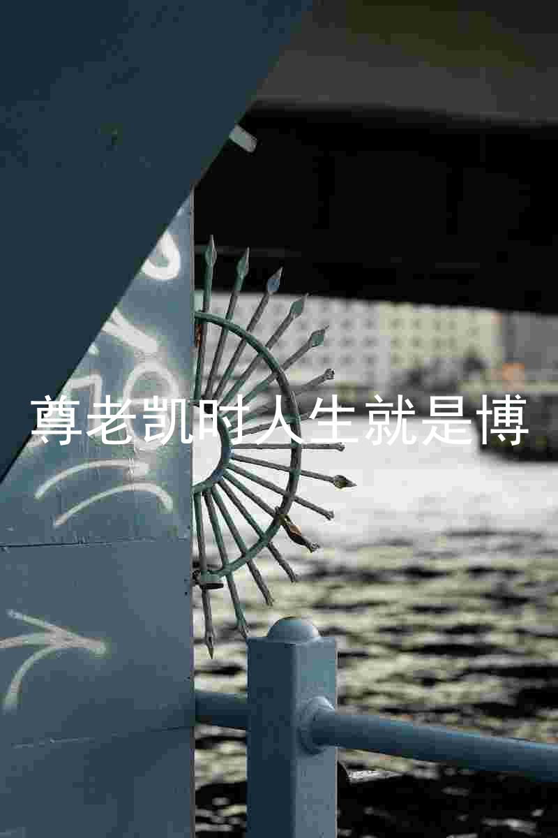 尊老凯时人生就是博