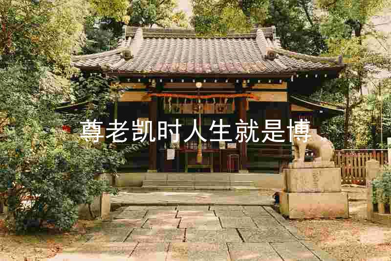 尊老凯时人生就是博