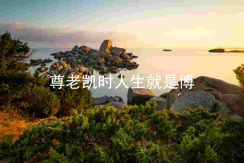 尊老凯时人生就是博