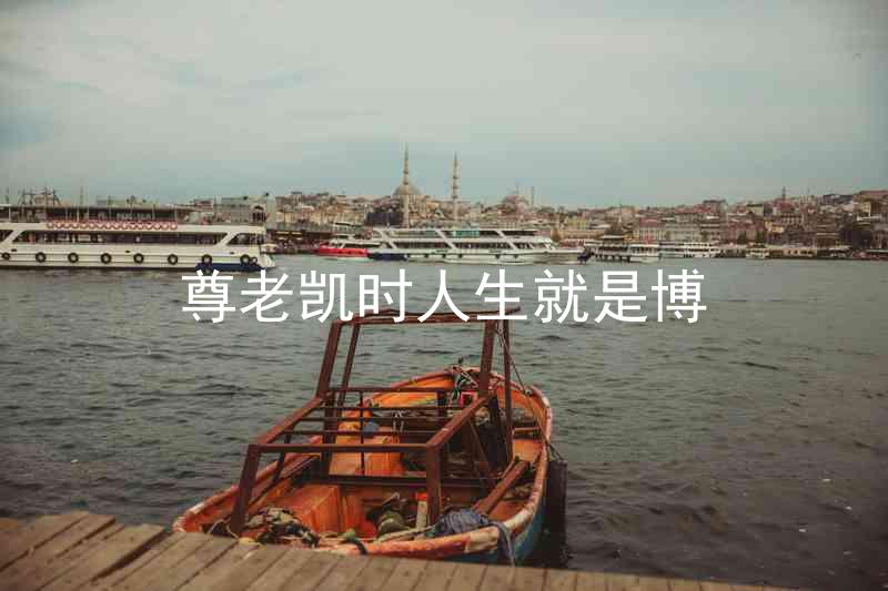 尊老凯时人生就是博
