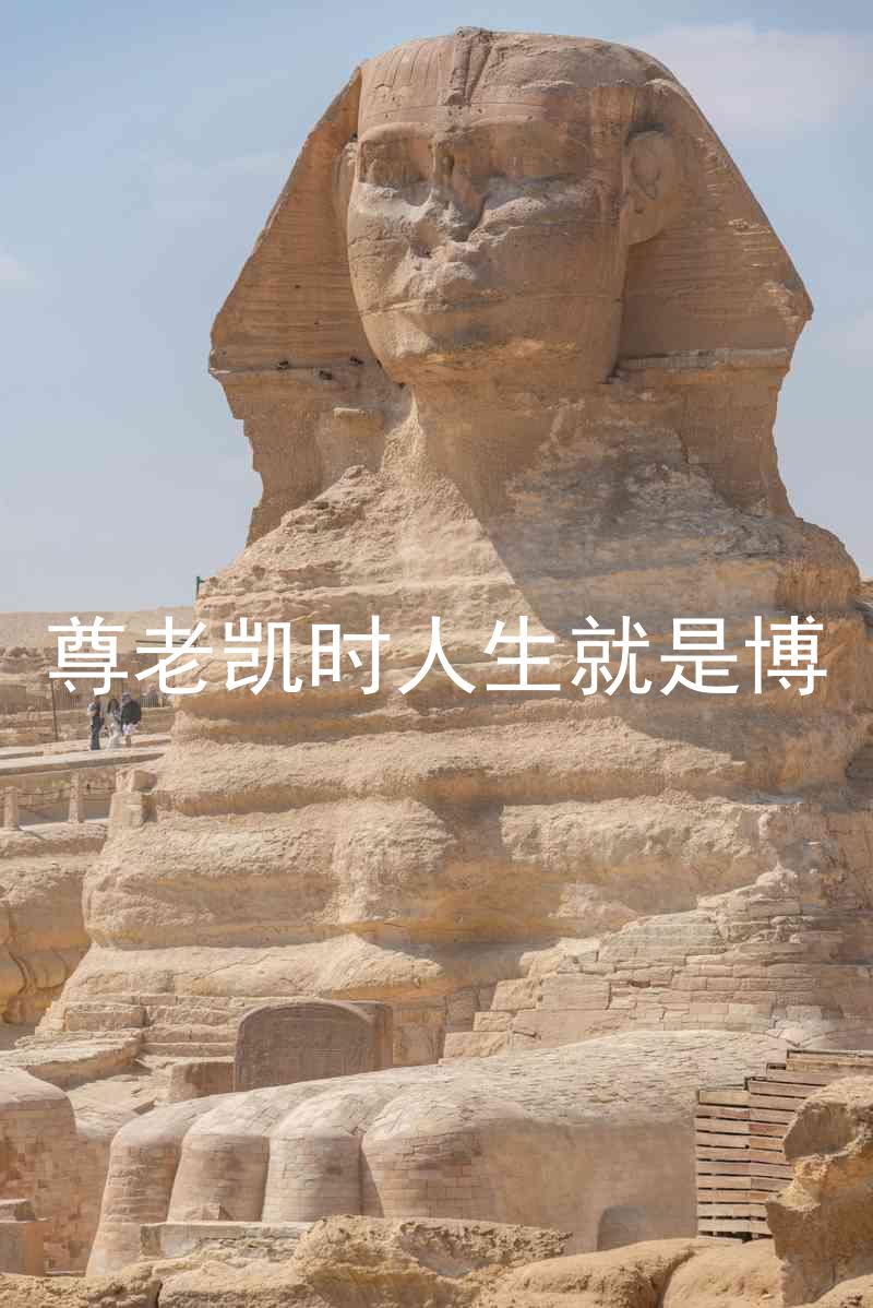 尊老凯时人生就是博