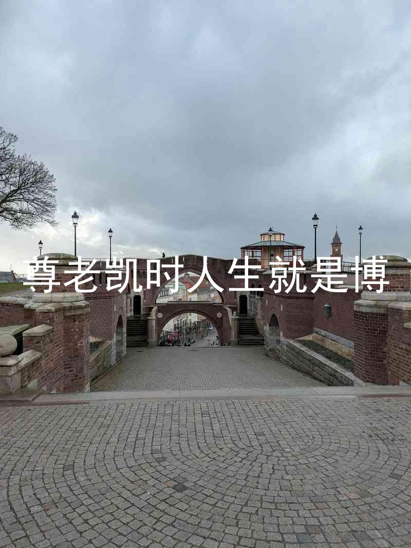 尊老凯时人生就是博
