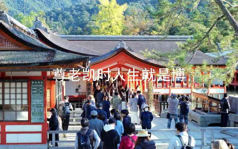 尊老凯时人生就是博