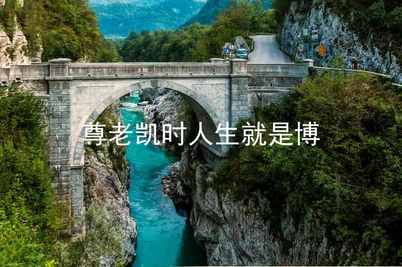 尊老凯时人生就是博