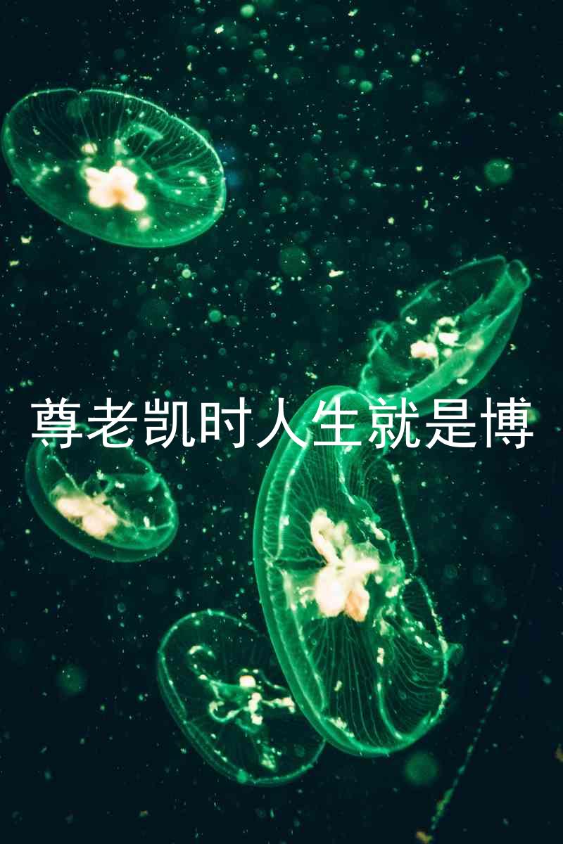 尊老凯时人生就是博